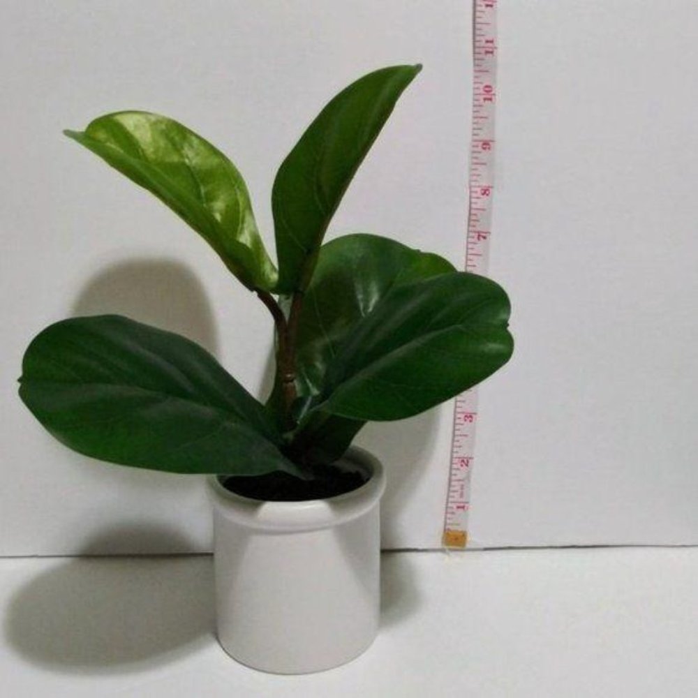 NWT 2pk Artificial Fiddle-Leaf Plant Ceramic Pot - Picture 7 of 7